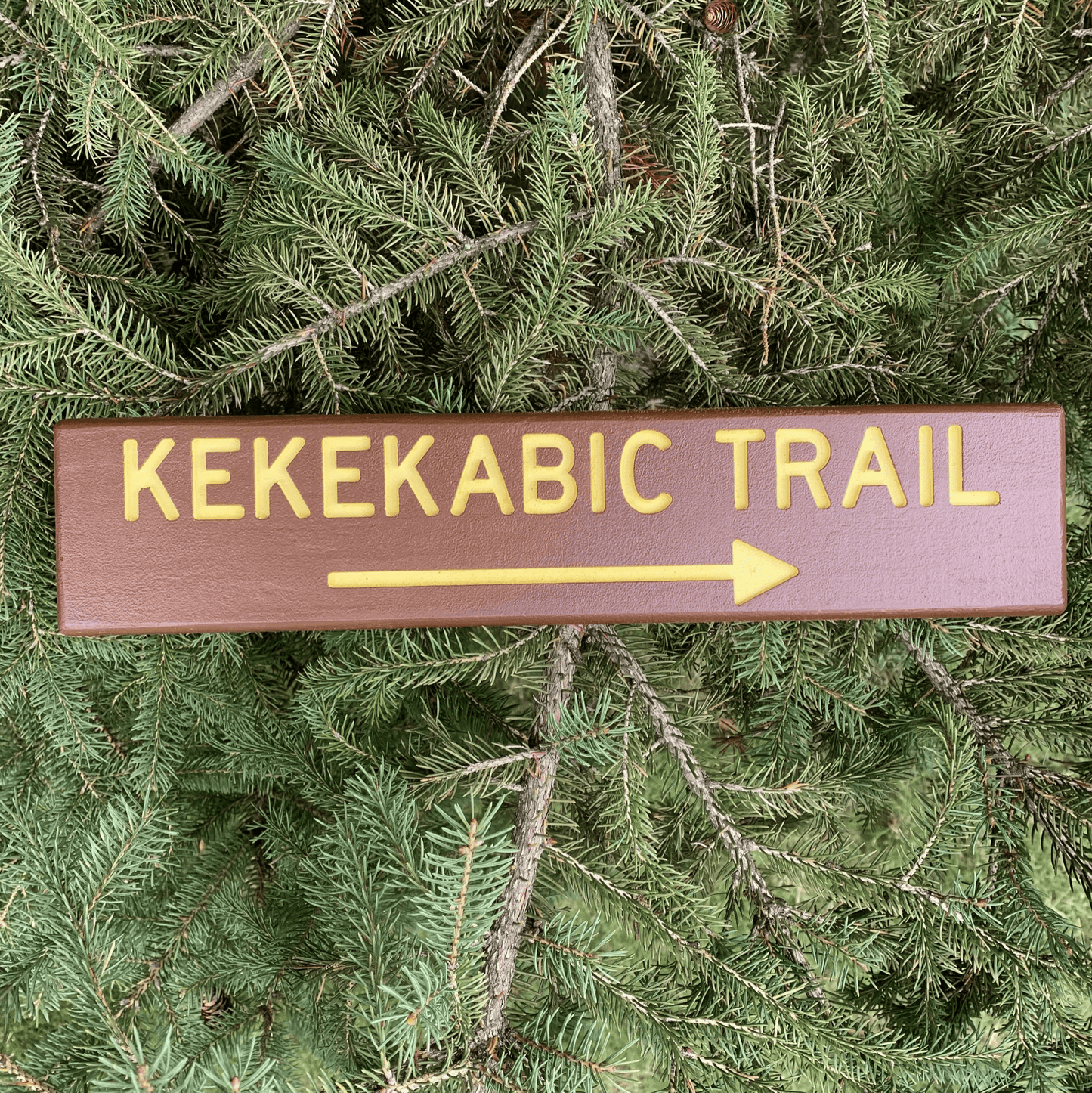 BWCA Hiking Trail Signs - True North Map Co