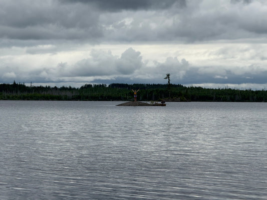 Best BWCA Entry Points for First-Time Paddlers