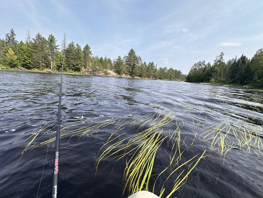 Fishing in the BWCA: Essential Tips for a Successful Trip - True North Map Co