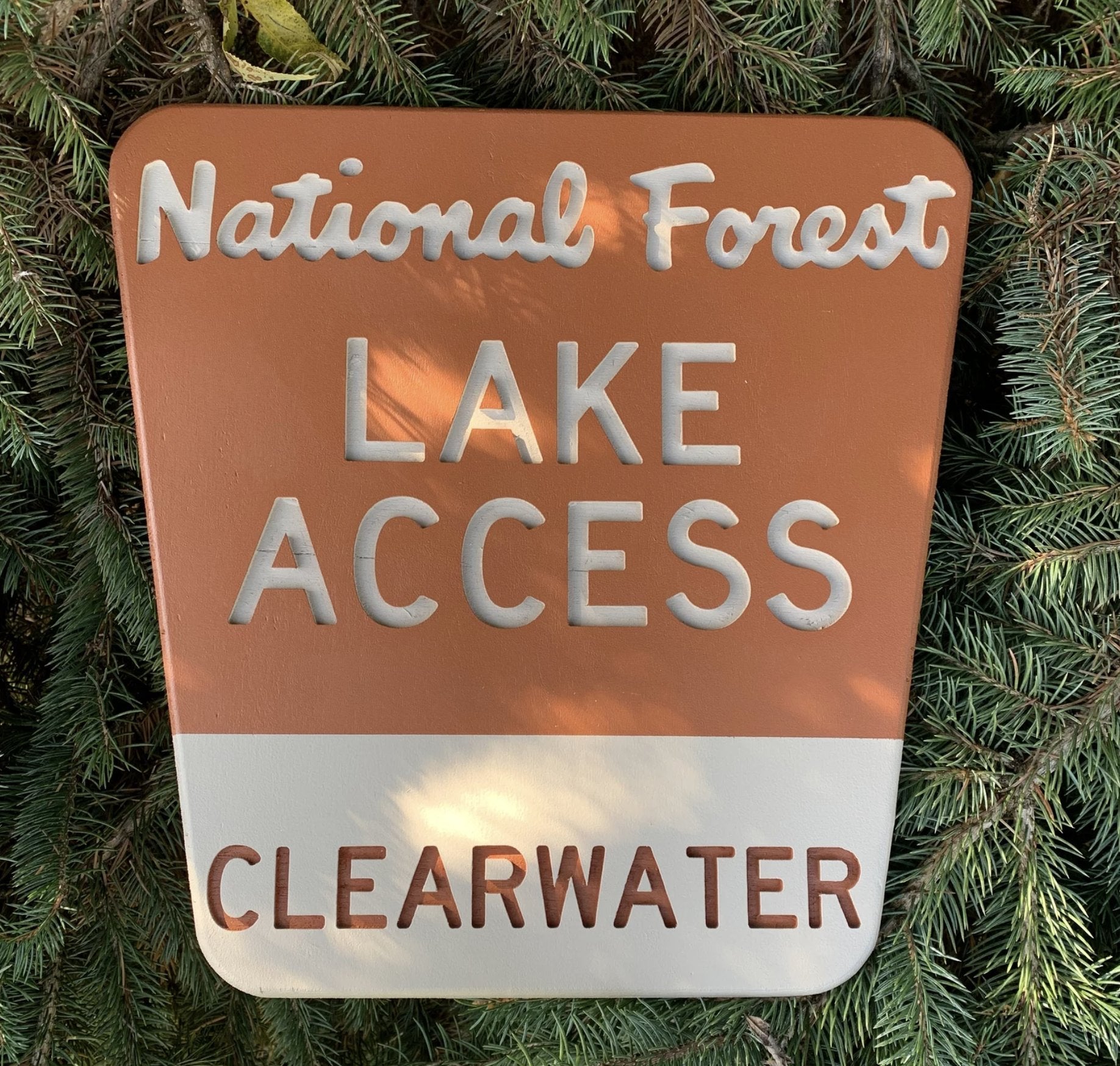 National Forest Access Sign Replicas (Customizable) - True North Map Co