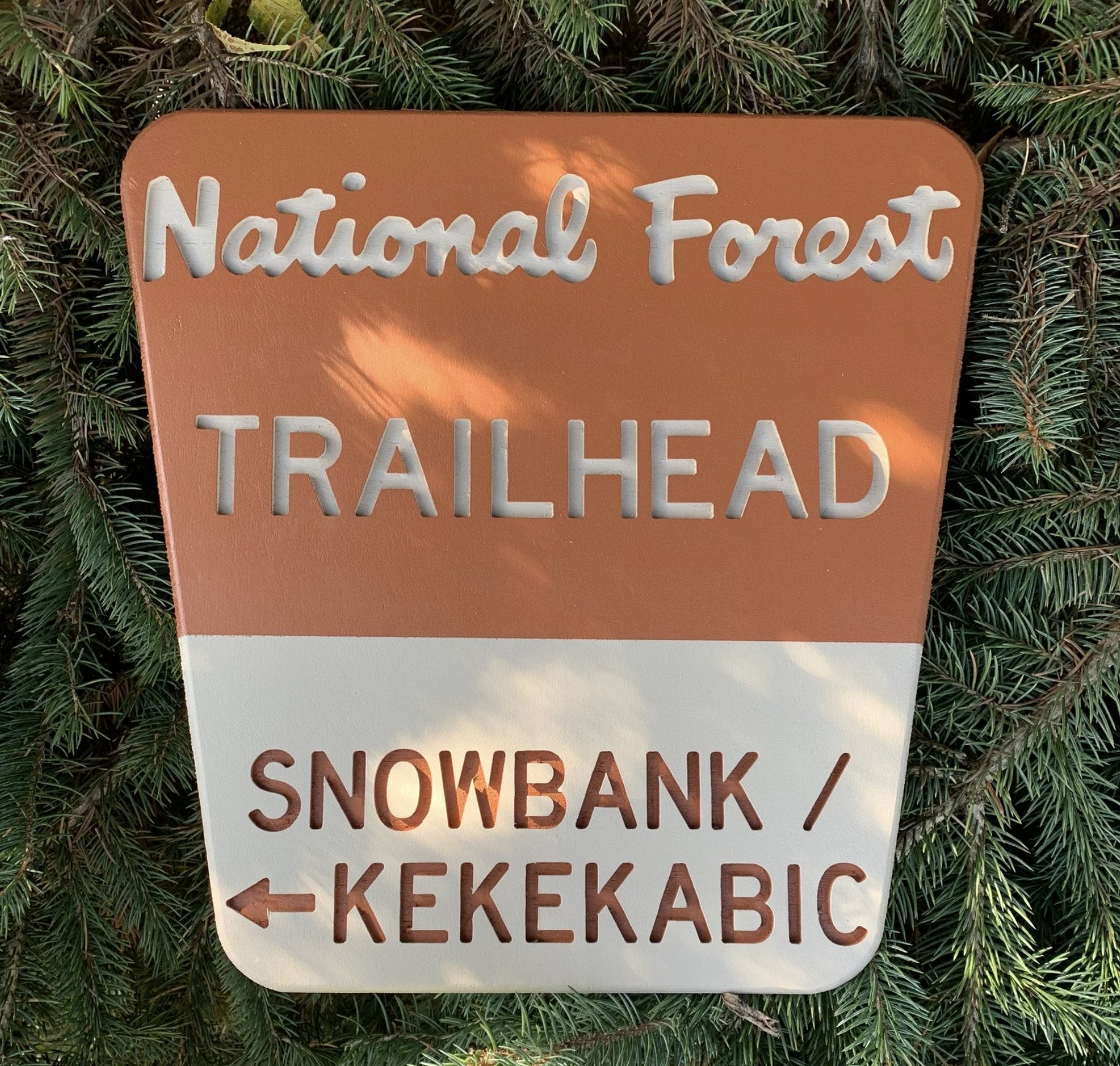 National Forest Access Sign Replicas (Customizable) - True North Map Co